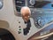 2014 Toyota Sienna XLE
